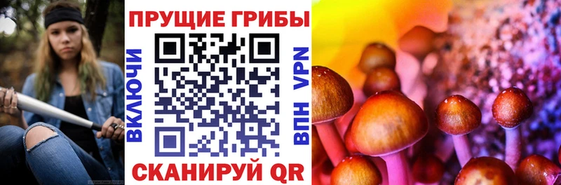 Псилоцибиновые грибы Psilocybe  Далматово 